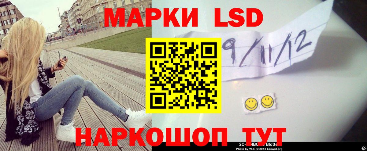 Новозыбков  KRAKEN вход  Вход с VPN  ЛСД экстази кислота  ЛСД экстази кислота 