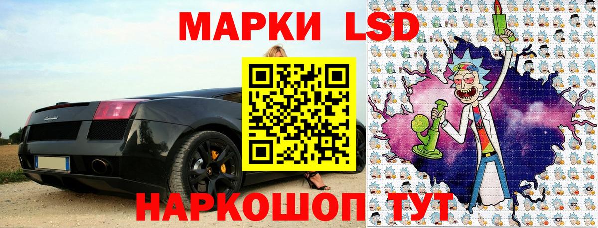 Марки N-bome  Наркотические марки 1500мкг  Вход с VPN  Новозыбков 
